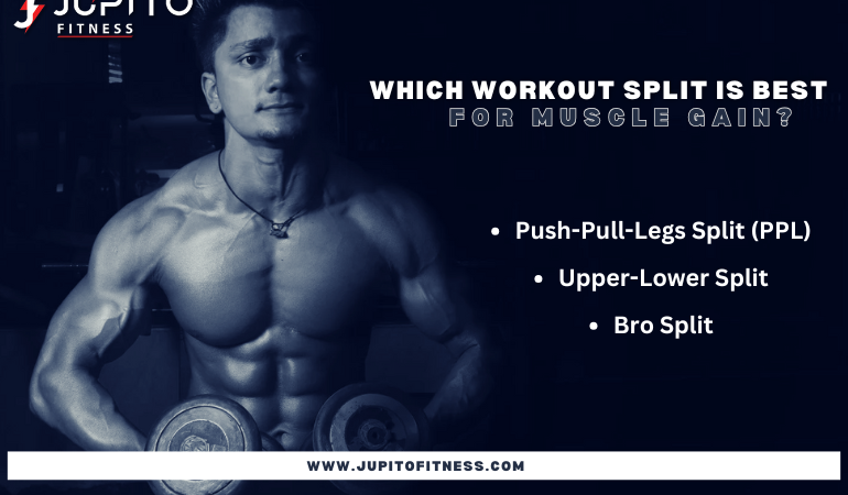 Which Workout Split is Best for Muscle Gain? Expert Tips by Jupito Fitness.